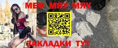 стаф Гатчина