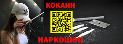 стаф Гатчина