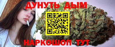стаф Гатчина