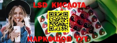 крисы Тверь