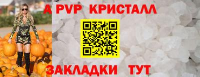 стаф Гатчина