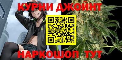 стаф Гатчина