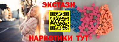 стаф Гатчина
