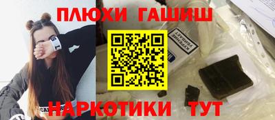 стаф Гатчина