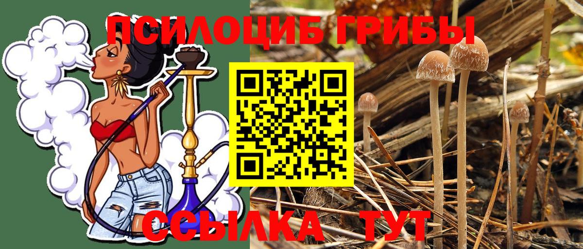 Псилоцибиновые грибы GOLDEN TEACHER  Галлюциногенные грибы Cubensis  даркнет сайт  Муравленко  Вход с VPN 