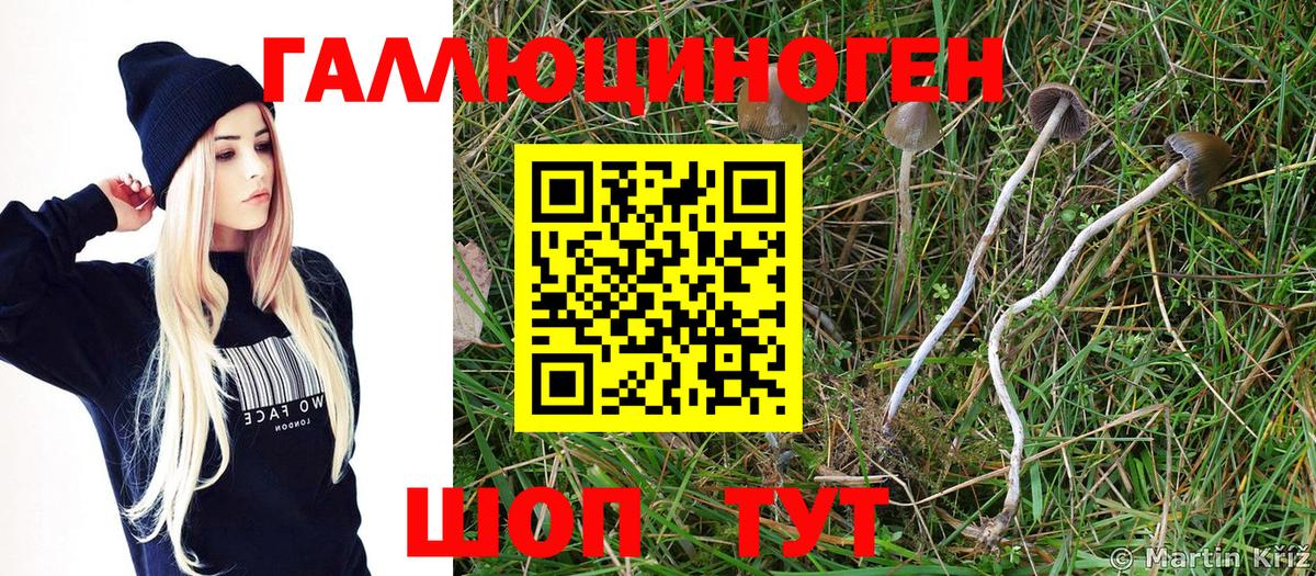 Псилоцибиновые грибы ЛСД Муравленко